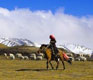 Qilian Mountain Grassland 祁连山草原 - Qinghai, Gansu