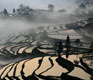 Reflections, Rice and Curves- Yuan yang, Yunnan