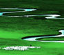 Inner Mongolia's Xilin Gol Grassland 锡林郭勒草原