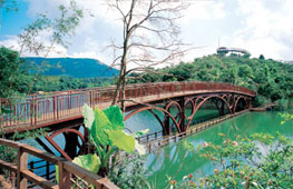 Pamper Yourself in Shenzhen: East Overseas Chinese Town