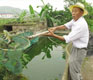 Legal Scholars Discuss Chongqing Frog Farmer and China’s Law Problems