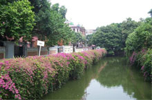 Dongshan Neighbourhood's Quiet and Historical Oasis