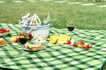 Shanghai’s Top 5 Spots for a Picnic