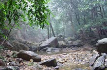 Dinghu Shan: Explore the Mysteries of Guangzhou’s Very Own Primeval Forest