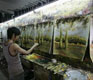 Buying Authentic Artwork in China