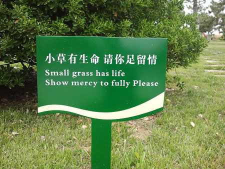 China needs a few good translators