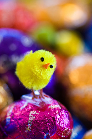 The Hunt is On: Easter Activities in and around Shenzhen