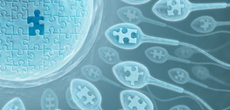 Are Wealthy Chinese Using In Vitro Fertilization to Bypass the One Child Policy? 