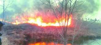 Henan Officials Cause Forest Fire While Taking “Fun Photos”