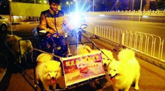 Jiangxi Man Invents “Dog Sleigh” Vehicle; Though Not Because He Loves Dogs