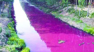 Netizen Posts Photo of a Creepy “Blood River” in Henan 