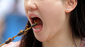“China Not Ready for Mass Insect Diet,” Expert Warns