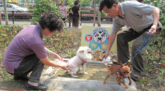 Shanghai Gets Its First Public Toilet for Pets