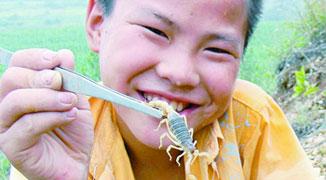 Grandpa Can’t Walk So Boy Catches 124 Scorpions to Make Wonder Medicine