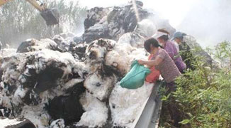 40 Tons of Cotton Catches Fire in Henan, Looted by Local Villagers