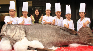 What a Catch! Gigantic Fish Sold to Guangdong Restaurant
