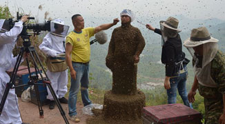 Chongqing Bee Farmer Wears Outfit of Bees in an Elaborate Publicity Stunt
