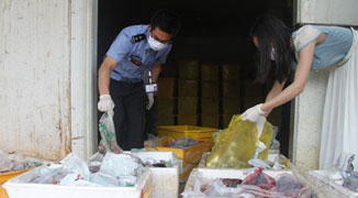Van Intercepted Smuggling Human Placenta from Over 200 People