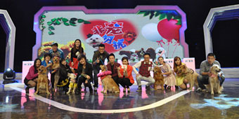 Pawful TV: Dogs on China’s First Animal Dating Show