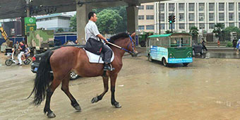 Wuhan Man Commutes to Work on Horseback