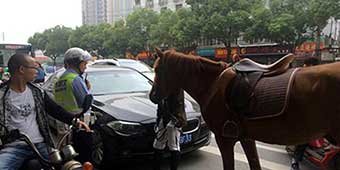 Horse Kicks BMW in Rush Hour Traffic, BMW Owner Responsible for Damages