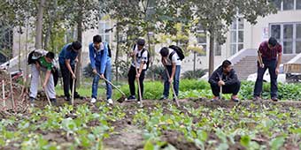 Learning from the Earth: University in Sichuan Has Mandatory Farming Course 