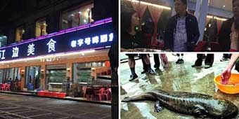 Tourist Charged 5,000 Yuan for Fish in Guilin Restaurant