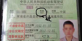 Chinese Drivers’ License Accidentally Call Everyone Hermaphrodites