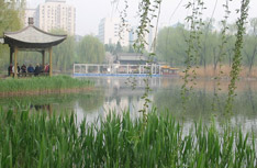 Forests, Feng Shui, and Falling Water: Beijing’s Northern Parks