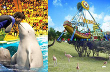 Have Fun at Dalian’s Wonderful Theme Parks