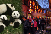 Fun Times: 5 Things You Must Do in Chengdu