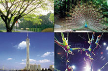 Guangzhou for Kids: Parks, Zoos, Shopping and More