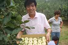 Organic Farms around Beijing that Deliver to Your Door