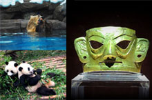 Good, Wholesome Fun: Family Friendly Activities in Chengdu