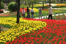 An Urban Oasis: Shenyang’s Best Parks