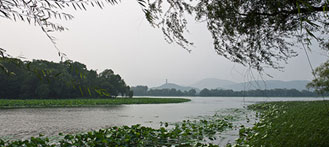  Parks in Kunming: Finding Refuge from the Urban Jungle