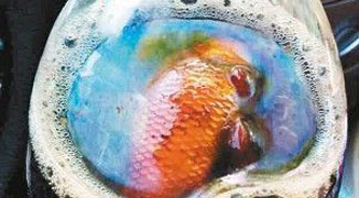 Dead Goldfish Found in Pepsi Bottle in Xi’an