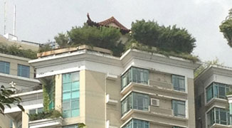 Another Bizarre Building Spotted on Rooftop of Shenzhen Luxury Condo
