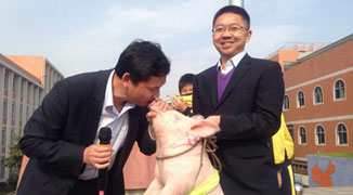 Hubei Vice Principal Kisses Pig to Reward Students for Not Littering 