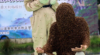 Un-bee-lievable: Jiangxi Man Breaks World Bee Bearding Record