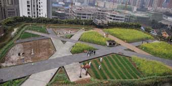 10,000 Square Meter Rooftop Farm in Chongqing