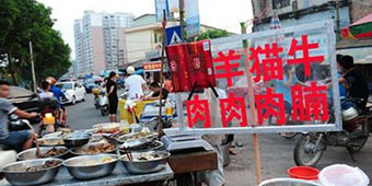 200,000 Foreigners Sign Petition to Protest Dog-Eating Festival 