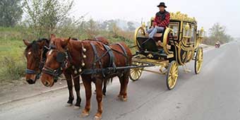 Classy Gansu Man Drives “British Royal Carriage” around City
